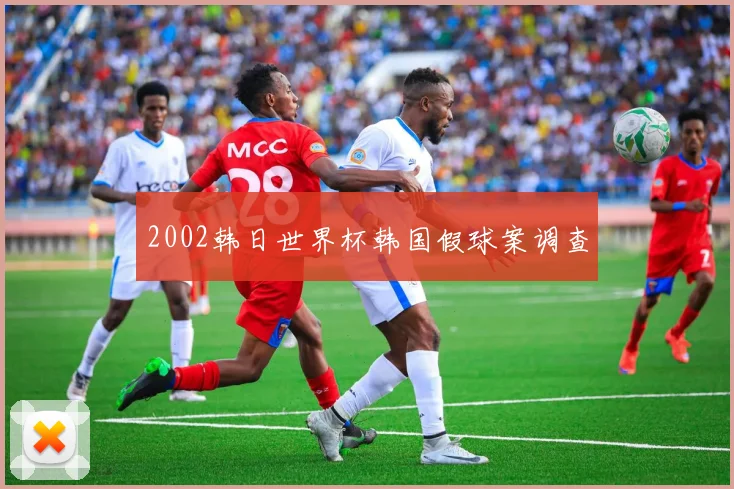 2002韩日世界杯韩国假球案调查