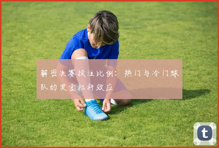 解密决赛投注比例：热门与冷门球队的奖金杠杆效应