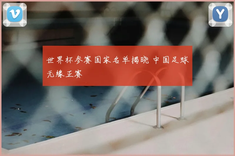 世界杯参赛国家名单揭晓 中国足球无缘正赛